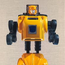 bumblebee.jpg